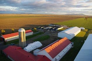 Produire du lait au Canada exige d'importants capitaux