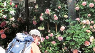 PHOTO : PASCAL FAYOLLE