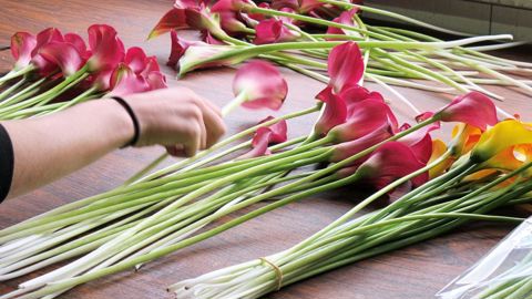 Si l'organisme néerlandais VGB note une évolution contrastée des exportations au premier semestre vers le reste de l'Europe, la demande demeure soutenue en France.PHOTO : VALÉRIE VIDRIL