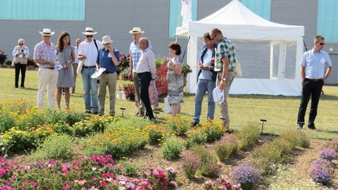 Le jury s'est réuni dans le jardin d'essais de Graines Voltz. Les nouveautés qui se sont démarquées décrocheront une médaille d'or en 2016 et seront commercialisées dès 2017.