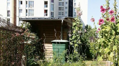 La ville des Ullis (91) a fait appel à l'association « jadopteunpotager » pour mettre sur pied des parcelles d'« Urba-griculture ».PHOTO : JOSSELYNE GAILARD
