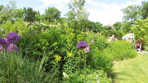 Le thème de la biodiversité heureuse, retenu par les organisateurs du Festival international des jardins de Chaumont-sur-Loire, permet de découvrir une palette végétale très large.