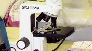 En laboratoire, il est possible de diagnostiquer l'origine des symptômes suspects : détecter des champignons, bactéries (dont par PCR), virus (par test Elisa), phytoplasmes (par PCR), nématodes phytopathogènes, pathogènes du sol... et microorganismes favorables.PHOTO : VALÉRIE VIDRIL