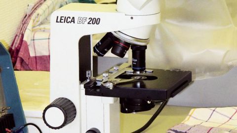 En laboratoire, il est possible de diagnostiquer l'origine des symptômes suspects : détecter des champignons, bactéries (dont par PCR), virus (par test Elisa), phytoplasmes (par PCR), nématodes phytopathogènes, pathogènes du sol... et microorganismes favorables.PHOTO : VALÉRIE VIDRIL