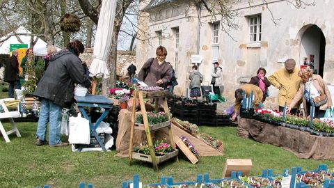 Outre ses fêtes des plantes de printemps et d'automne (ici l'édition de printemps 2009), le domaine de Saint-Jean-de-Beauregard accueillera en octobre la première édition d'Eco-coccinelle Environnement.