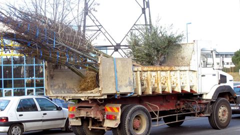 La conduite, activité incontournable dans le secteur du paysage, représente 5,5 % des accidents graves et 35 % des accidents mortels. D'où l'utilité de prendre des mesures de prévention dans l'organisation du travail.PHOTO : ODILE MAILLARD