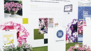 Malgré le succès de certaines de ses obtentions, comme ici les Verbena Lanai® 'Twisters' mises à l'honneur durant les FlowerTrials® 2013, Syngenta International annonce son souhait de se séparer de toute son activité mondiale consacrée aux fleurs. Malgré le succès de certaines de ses obtentions, comme ici les Verbena Lanai® 'Twisters' mises à l'honneur durant les FlowerTrials® 2013, Syngenta International annonce son souhait de se séparer de toute son activité mondiale consacrée aux fleurs.