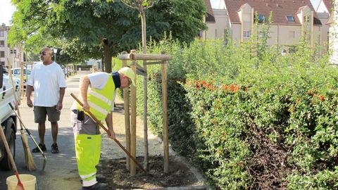 « Du pulvérisateur à la binette, un véritable bouleversement de nos pratiques » : tel sera l'un des thèmes des assises régionales de la région Centre, à Chartres (28).