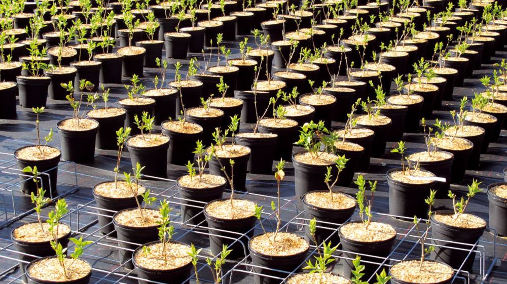 Les formations ont pour objectif de mettre en oeuvre un plan d'amélioration spécifique à chaque entreprise sur les différents thèmes techniques sensibles (gestion des apports d'eau, récupération et recyclage aux Pépinières Végétal 85).