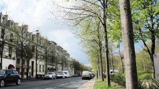 Le colloque « La loi Arbres, une nécessité en France, en Europe et dans le monde », qui se déroulera au début du mois d'octobre à Pantin (93), vise à promouvoir l'arbre en ville. Le colloque « La loi Arbres, une nécessité en France, en Europe et dans le monde », qui se déroulera au début du mois d'octobre à Pantin (93), vise à promouvoir l'arbre en ville.