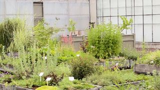 PHOTO : ODILE MAILLARD PHOTO : ODILE MAILLARD