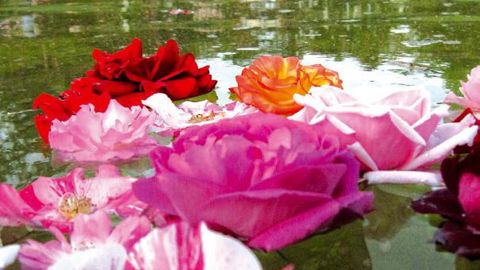 PHOTO : CG94-C POTEZ-DELPUECH