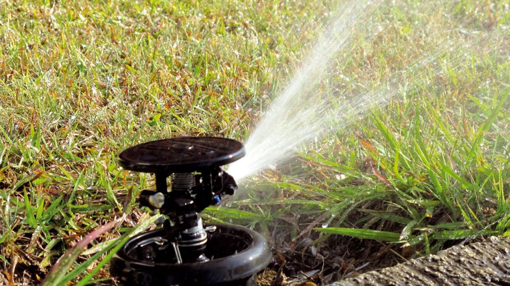 L'irrigation des espaces verts est réglementée dans un département sur deux en France. Et il est peu probable que la situation s'améliore. La filière horticole en a payé les frais en mai.