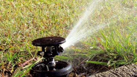 L'irrigation des espaces verts est réglementée dans un département sur deux en France. Et il est peu probable que la situation s'améliore. La filière horticole en a payé les frais en mai.