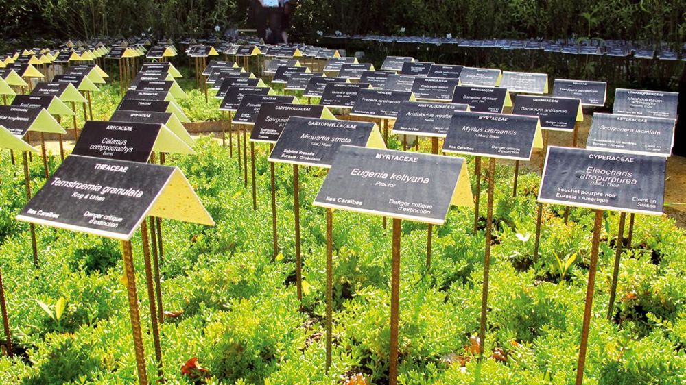 Vous ne connaissez sans doute pas les plantes dont le nom figure sur ces étiquettes car elles ont disparu. Une perte de biodiversité irréparable au niveau planétaire dénoncée par ce jardin de Chaumont-sur-Loire.