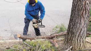 Le CAP rénové doit, à partir de cette rentrée, accorder des périodes de formation en milieu professionnel d'une durée de 12 semaines, et jusqu'à 6 semaines supplémentaires (prises sur la scolarité) de stage individuel en milieu professionnel.