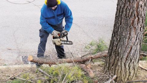 Le CAP rénové doit, à partir de cette rentrée, accorder des périodes de formation en milieu professionnel d'une durée de 12 semaines, et jusqu'à 6 semaines supplémentaires (prises sur la scolarité) de stage individuel en milieu professionnel.