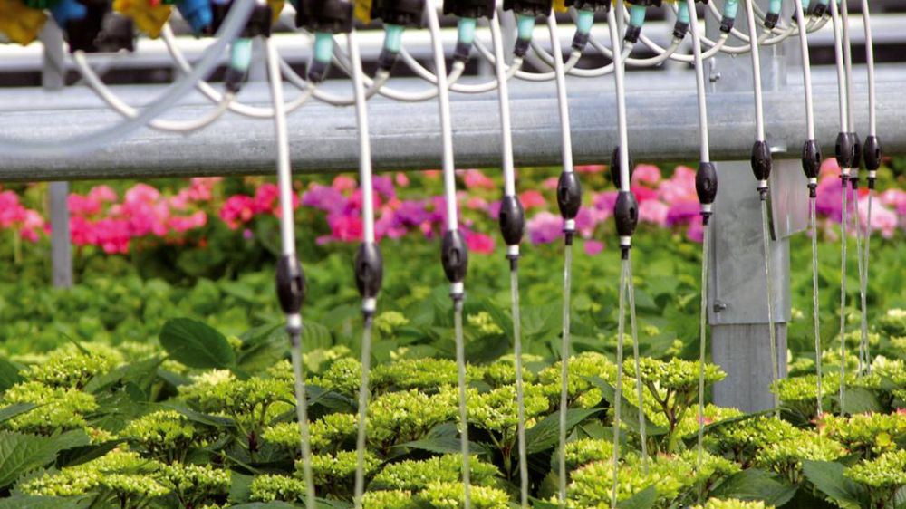 Condition d'accès au marché et à l'obtention d'aides publiques, la certification « Plante Bleue » est également un outil de progrès incitant à améliorer les pratiques.