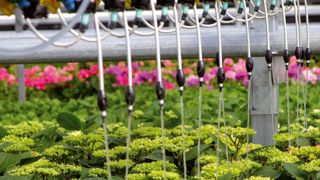 Condition d'accès au marché et à l'obtention d'aides publiques, la certification « Plante Bleue » est également un outil de progrès incitant à améliorer les pratiques. Condition d'accès au marché et à l'obtention d'aides publiques, la certification « Plante Bleue » est également un outil de progrès incitant à améliorer les pratiques.
