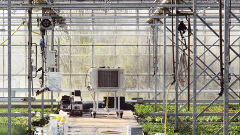 Dans la circulaire serre de FranceAgriMer (FAM), le déshumidificateur constitue l'un des trois postes éligibles – avec la pompe à chaleur et la chaufferie à énergie renouvelable –, dans le cadre de la reconversion énergétique, avec un taux de 30 %.