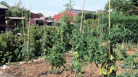 L'agriculture urbaine fait partie, avec une mission « économie et marché », des nouvelles orientations stratégiques d'Astredhor.