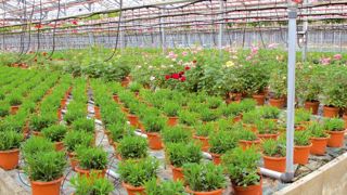 Chaque entreprise va pouvoir se situer à partir de l'observatoire 2011 CER/ FranceAgriMer.