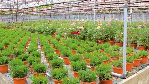 Chaque entreprise va pouvoir se situer à partir de l'observatoire 2011 CER/ FranceAgriMer.