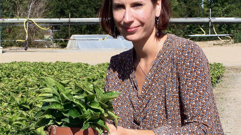 « Il m'a fallu un an pour découvrir un cycle de production complet. C'est un secteur où l'on prend sa place dans l'entreprise de manière progressive. On ne peut pas faire autrement », explique Stéphanie Baraud, technicienne qualité, sécurité et environnement, employée par Forval, dans le Maine-et-Loire. « Il m'a fallu un an pour découvrir un cycle de production complet. C'est un secteur où l'on prend sa place dans l'entreprise de manière progressive. On ne peut pas faire autrement », explique Stéphanie Baraud, technicienne qualité, sécurité et environnement, employée par Forval, dans le Maine-et-Loire.