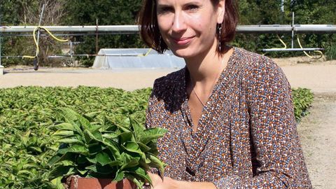 « Il m'a fallu un an pour découvrir un cycle de production complet. C'est un secteur où l'on prend sa place dans l'entreprise de manière progressive. On ne peut pas faire autrement », explique Stéphanie Baraud, technicienne qualité, sécurité et environnement, employée par Forval, dans le Maine-et-Loire.