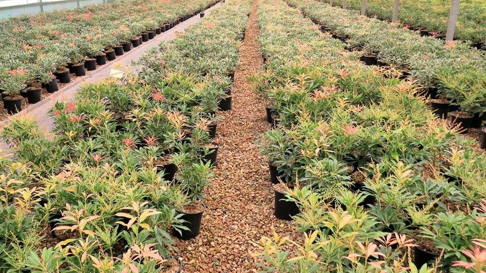 PHOTO : PASCAL FAYOLLE PHOTO : PASCAL FAYOLLE