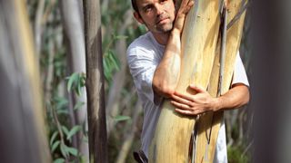 « Je réalise uniquement des photos à la lumière du jour, sans aucun filtre. Curiosité et patience me permettent de dénicher l'arbre idéal, de repérer le moment où l'éclairage naturel est le plus favorable », explique Cédric Pollet.