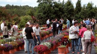L'après-midi du 29 juin, les participants pourront visiter les essais de la station sous l'angle des « économies eau ». Ici, annuelles expérimentales en pot de 20 litres, en 2007.