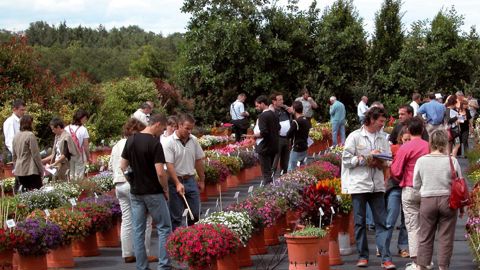 L'après-midi du 29 juin, les participants pourront visiter les essais de la station sous l'angle des « économies eau ». Ici, annuelles expérimentales en pot de 20 litres, en 2007.