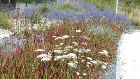 La ville de La Roche-sur-Foron (74), 3 fleurs au palmarès du fleurissement, sera présentée lors du colloque sur le fleurissement adapté aux conditions de montagne.