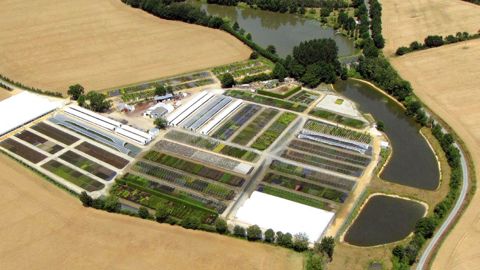 La concentration du secteur horticole se poursuit avec entre 20 et 25 % d'entreprises qui ont disparu en sept ans et la création d'entreprises plus grandes et plus productives.