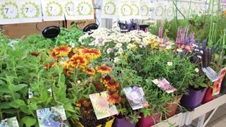 Face à des produits qu'il connaît de moins en moins bien, le consommateur (en particulier les 20-40 ans) a aujourd'hui besoin d'être rassuré par le biais de conseils et qu'on lui apporte de la praticité. Face à des produits qu'il connaît de moins en moins bien, le consommateur (en particulier les 20-40 ans) a aujourd'hui besoin d'être rassuré par le biais de conseils et qu'on lui apporte de la praticité.