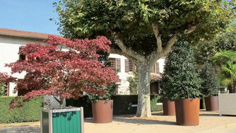 Les pépinières Guillot-Bourne ont été reprises par Pierre de Prémare, qui en dirige déjà deux autres en Rhône-Alpes.PHOTO : ODILE MAILLARD