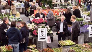 PHOTO : IPM ESSEN PHOTO : IPM ESSEN