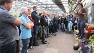 Rachel Caspar, installée à Morsbach (57), a retenu l'attention des participants en présentant son approche pragmatique et ses idées pour la mise en valeur des végétaux dans son point de vente. Rachel Caspar, installée à Morsbach (57), a retenu l'attention des participants en présentant son approche pragmatique et ses idées pour la mise en valeur des végétaux dans son point de vente.