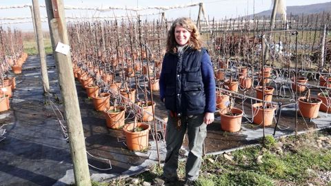 Sandra Marianelli, installée à Saint-Appolinard (42), explique : « Mon ambition est de proposer un éventail de végétaux, à l'image des palmettes. Je cultive des produits en fruitiers nains, adaptés aux petits jardins, aux balcons et aux terrasses. En matière commerciale, je souhaite me tourner de plus en plus vers la vente directe et les paysagistes. »PHOTO : CLAUDE THIERY