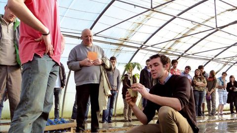 Mise en place des plants de tomate début avril.PHOTO : B. EMPRIN