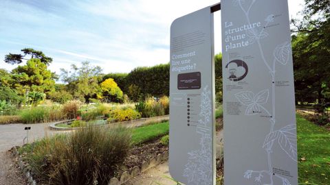 Le jardin de l'École botanique de Paris permet désormais de découvrir la palette végétale des régions tempérées du monde à partir d'une classification actualisée et d'une signalétique optimisée.PHOTO : F. G. GRANDIN, MNHN