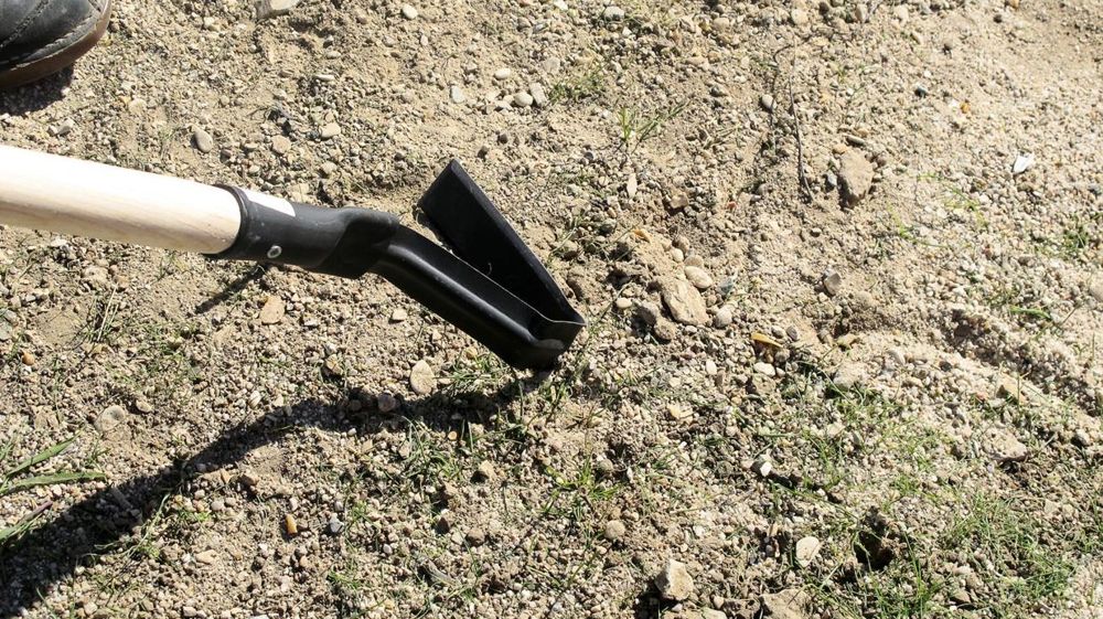 Le désherbage sera le casse-tête de la gestion du personnel au sein des services des espaces verts dans un avenir proche. Et si le fleurissement en faisait les frais ? Le désherbage sera le casse-tête de la gestion du personnel au sein des services des espaces verts dans un avenir proche. Et si le fleurissement en faisait les frais ?