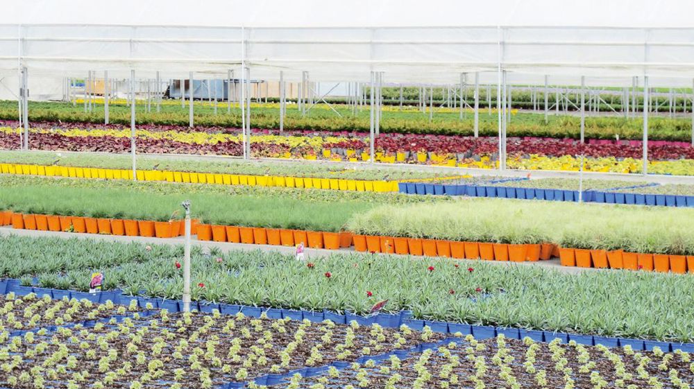 À l'instar des Ets Barrault Horticulture l'an passé, les producteurs participant aux Visites vertes continueront d'ouvrir leurs portes. Mais des ventes privées seront également proposées sur www.visitesvertes.tv.