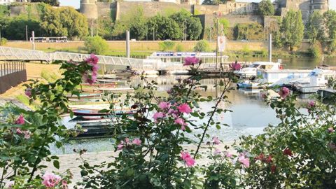 La ville d'Angers (49) et sa grande région restent le secteur géographique le plus important en France pour le domaine de l'horticulture. Toutefois, les surfaces de production diminuent depuis une dizaine d'années.PHOTO : PASCAL FAYOLLE