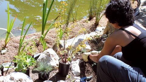PHOTO : LYCÉE DE MONTREUIL
