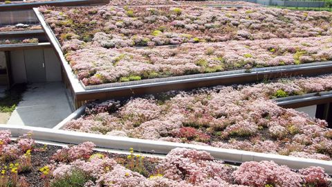 La problématique des toits végétalisés sera explorée dans toutes ses dimensions, techniques et sociétales, lors du congrès mondial de Nantes, du 9 au 13 septembre prochain.PHOTO : WGIC-ADIVET