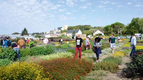 Cent vingt professionnels ont participé à la journée proposée par les Ets Simier le 10 septembre.PHOTO : ETS SIMIER