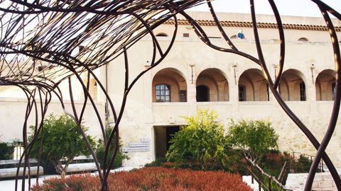 Les participants du congrès d'Hortis, ex-association des responsables de jardins et espaces verts publics, ont visité Marseille (13). Ils ont pu découvrir le jardin des Migrations du Mucem, ouvert récemment.