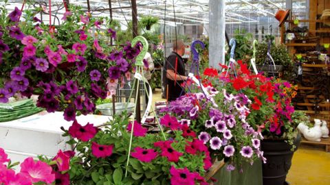 Outre des difficultés liées à la sécheresse, les producteurs de la FNPHP déplorent des baisses de chiffre d'affaires sur les points de vente.PHOTO : FRANCIS GINESTET